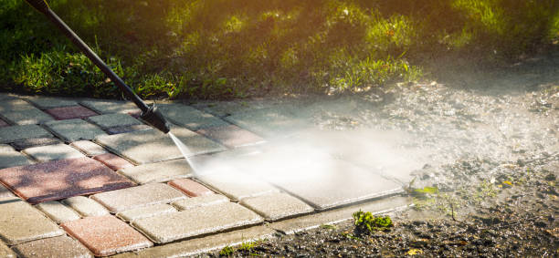 Best Roof Washing  in Hancock, MD